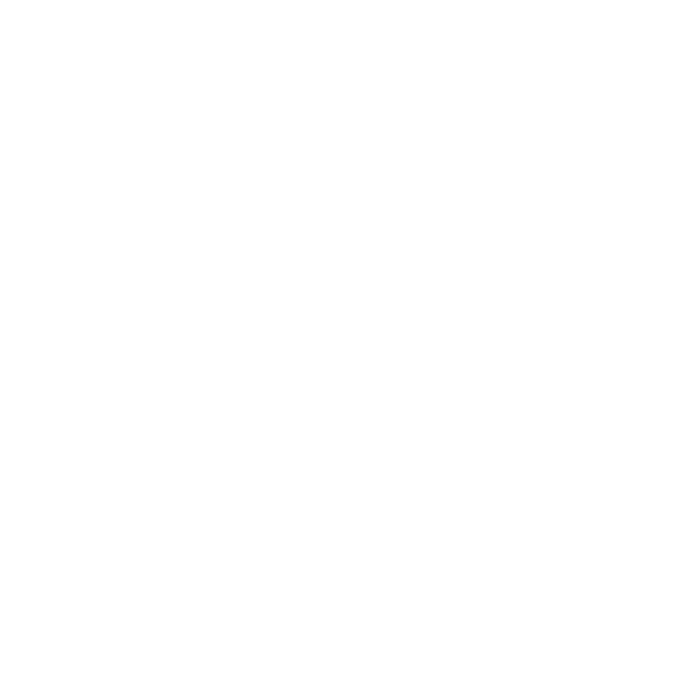 Made in Mexico